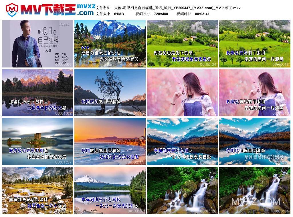大度-用眼泪把自己灌醉_国语_流行_YE200447